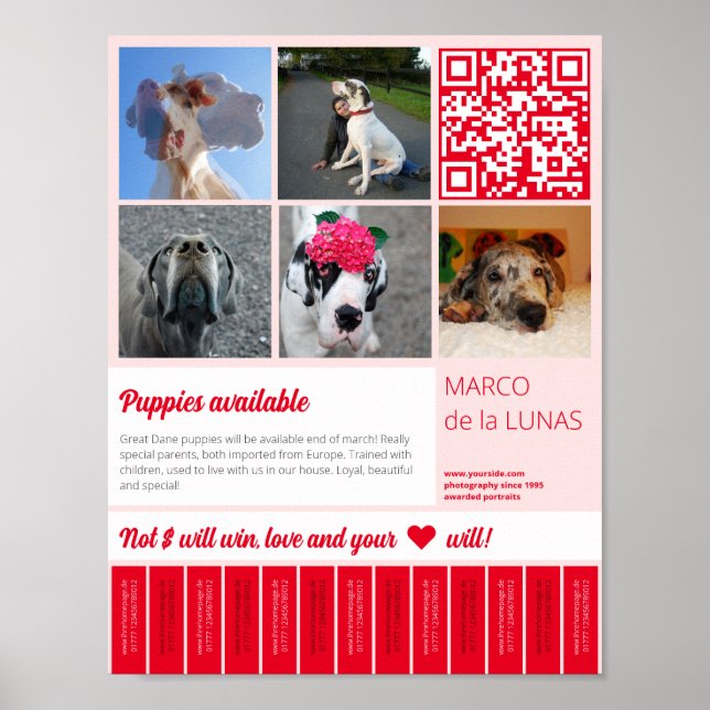 Poster Rasgos de cachorros imprimíveis para venda modelo (Frente)