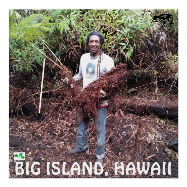 PÓSTER RASTA FARMER COM HAPUU FERN (Frente)