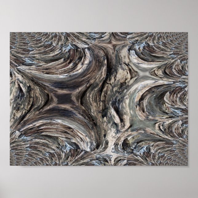 Poster Rastreamento Fractal da Casca da Árvore (Frente)