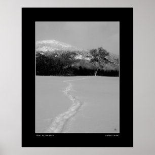 Poster Rastreio a um passarinho no inverno (monocromo)