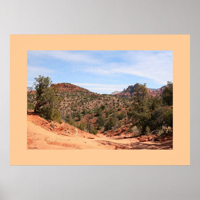 Póster Rastreio de Lava-Chuva (Frente)