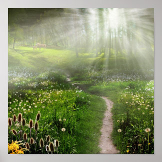 Póster Rastreio de Prados