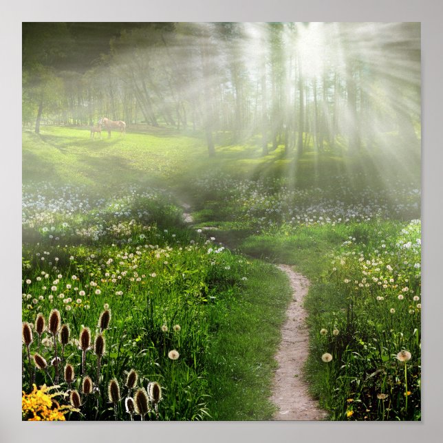 Póster Rastreio de Prados (Frente)