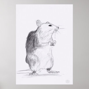Poster Rat de desenho original 24x36