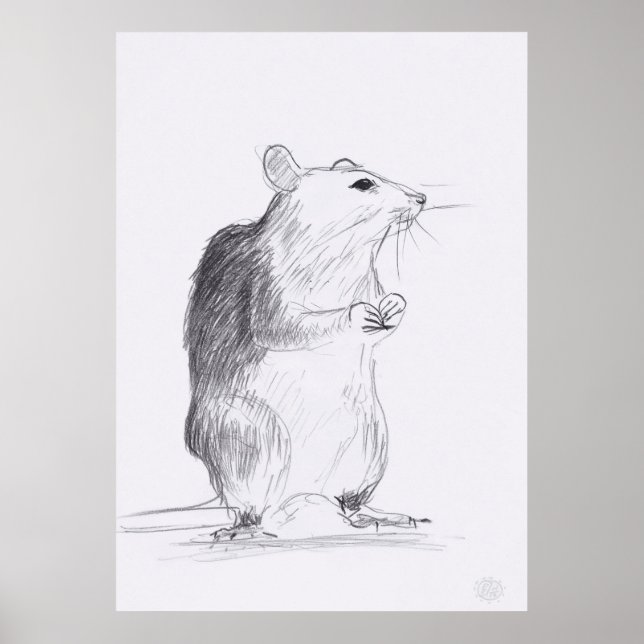 Poster Rat de desenho original 24x36 (Frente)