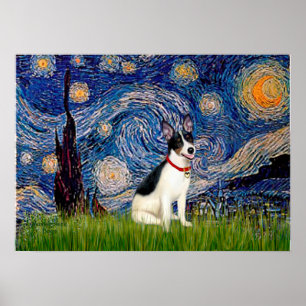 Poster Rat Terrier - Noite estelar