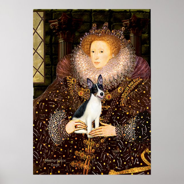 Póster Rat Terrier - Rainha (Frente)