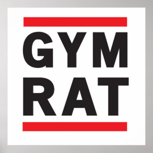 Póster Rato do Gym