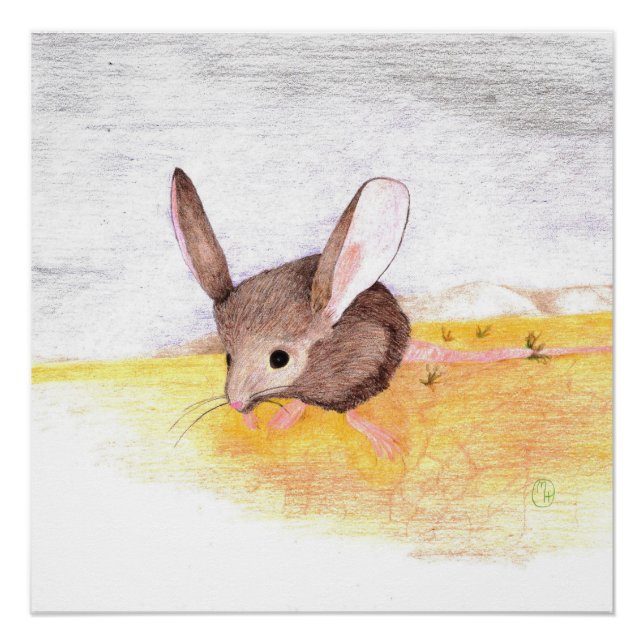 Póster Rato Seco (Frente)