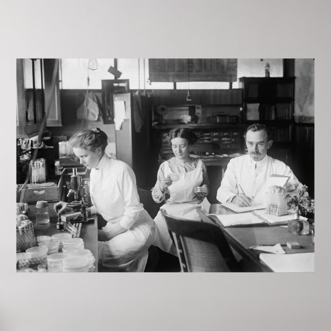 Poster Ratos-laboratório, 1912 (Frente)