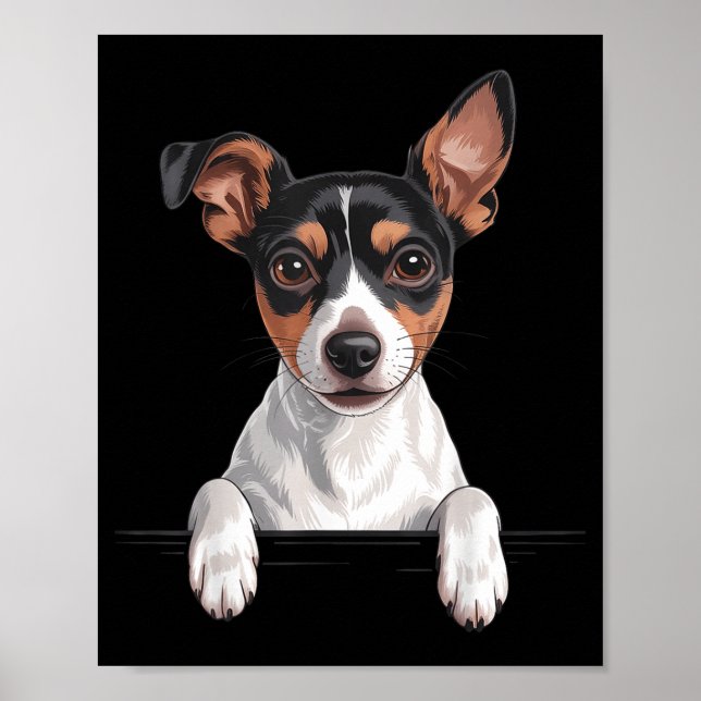 Poster Rattie Terrier Fofo Espiando Amante de Cachorro (Frente)