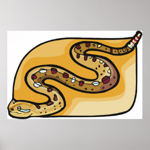 Poster Rattlesnake Reptile