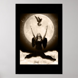 Póster Raven