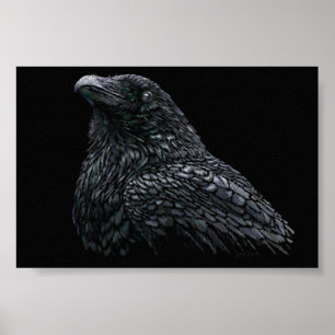 Póster Raven