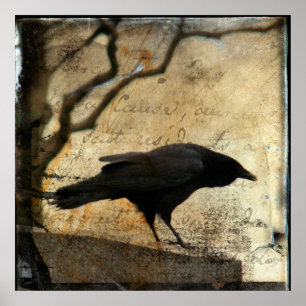 Póster Raven Art