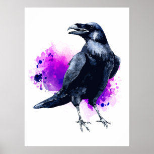 Poster Raven Com Plano De Fundo De Abertura Da Cor Da Águ