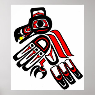 Póster raven haida