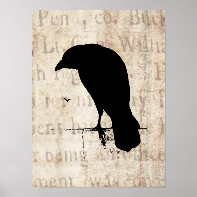 Póster Raven Silhouette - Vintage Retro Ravens & Crows (Frente)