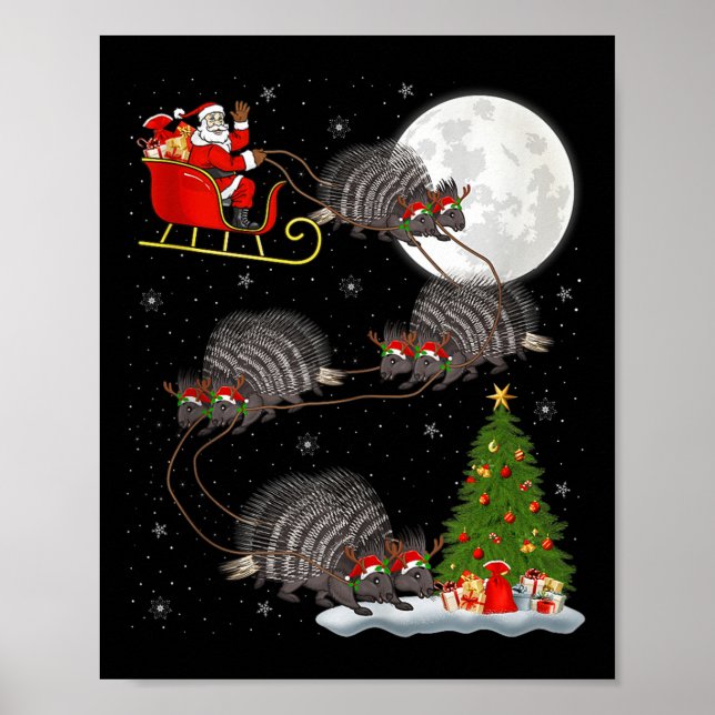Poster Rcune Santa Sleigh Flying Funny Magical Christmas  (Frente)