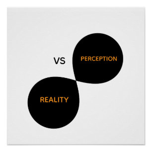 Póster Realidade Vs Percepção