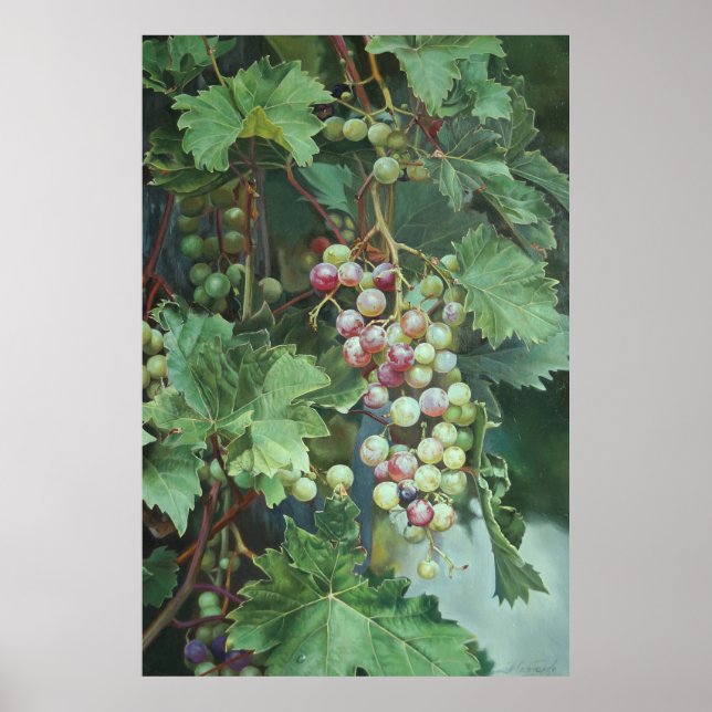 Poster Realistic Grape Vine with Leaves – Fine Art (Frente)