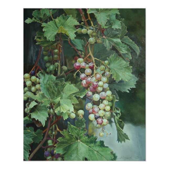 Póster Realistic Grape Vine with Leaves – Fine Art (Frente)