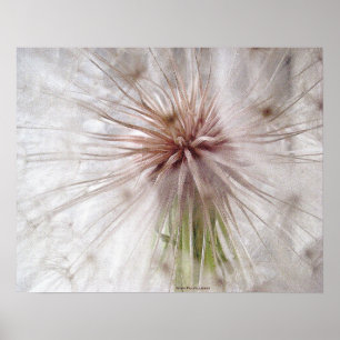 Poster Realização do desejo