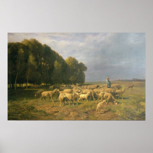 Póster Rebanho dos carneiros em uma paisagem