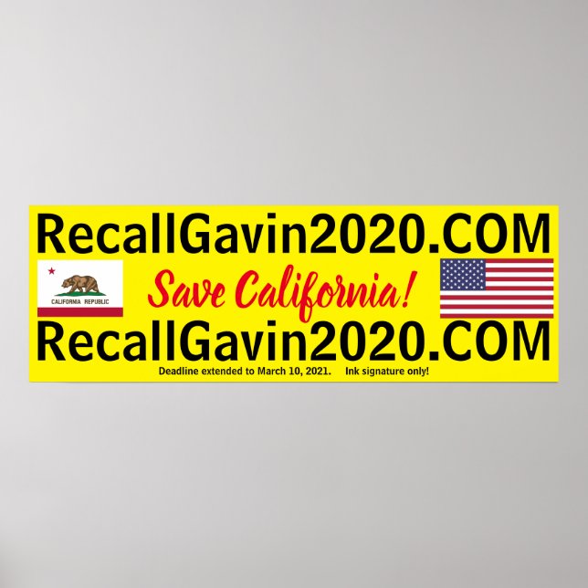 Poster recallgavin2020 36x12 (Frente)