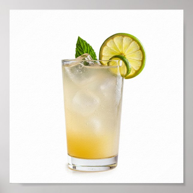 Poster Receita Gin Fizz (Frente)