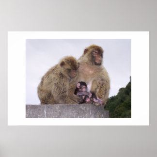 Póster Recém-nascido