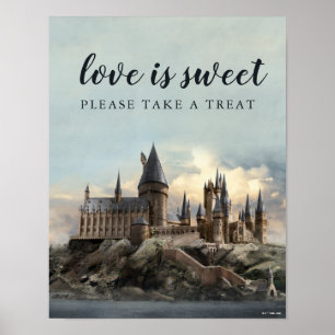 Poster Recepção de Casamento Harry Potter Por Favor Leve