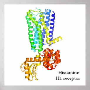 Poster Receptor da histamina