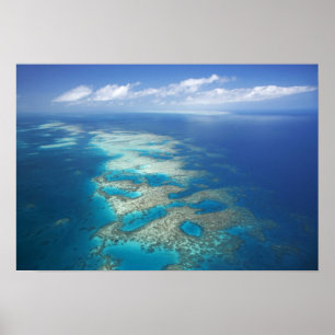 Póster Recife Língua, Parque Marinho da Grande Barreira d