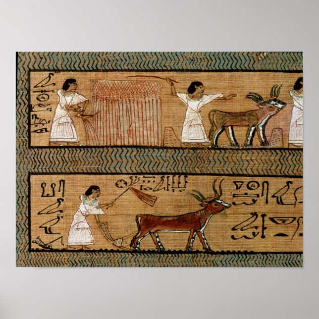 Póster Recolha e aragem, detalhe uma representação (Frente)