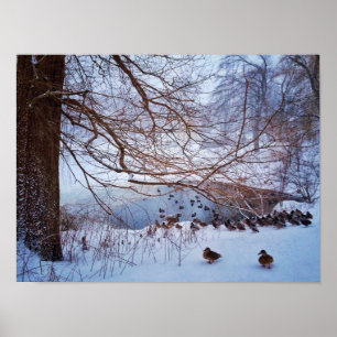 Poster Recolhimento dos patos em torno da lagoa congelada