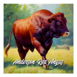 Póster Red Angus Bull bonito
