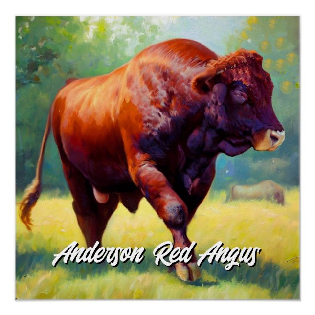 Póster Red Angus Bull bonito (Frente)