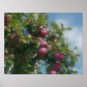 Póster Red Apples On Tree Photo Painting
