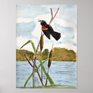 Póster Red Blackbird