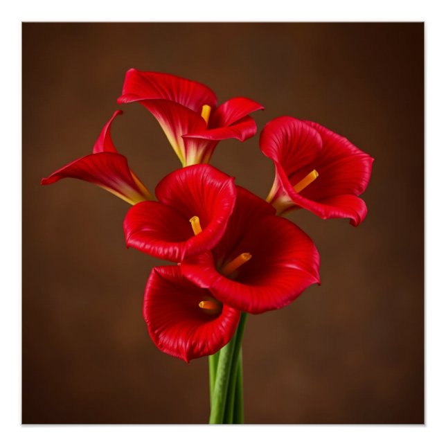 Póster red callas (Frente)