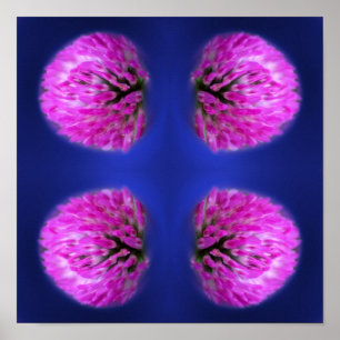 Poster Red Clover Wildflower Abstrato