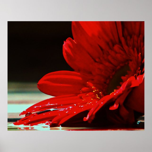 Poster Red Daisy Gerbera Flower (Frente)