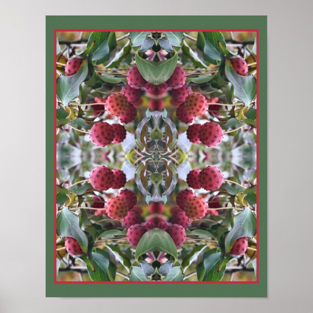 Poster Red Dogwood Fruta Nature (Frente)