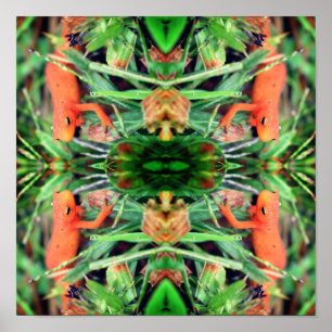 Poster Red Eft Orange Salamander Abstrato