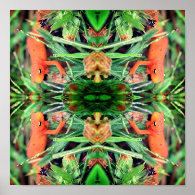 Poster Red Eft Orange Salamander Abstrato (Frente)