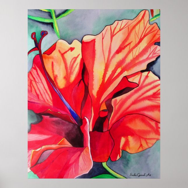 Póster Red Hibiscus (flor tropical aquarela) (Frente)