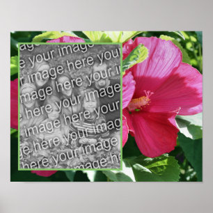 Poster Red Hibiscus Flower Frame Adicionar Sua Foto