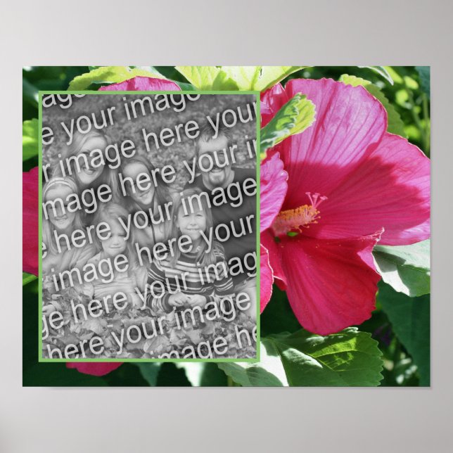Poster Red Hibiscus Flower Frame Adicionar Sua Foto (Frente)