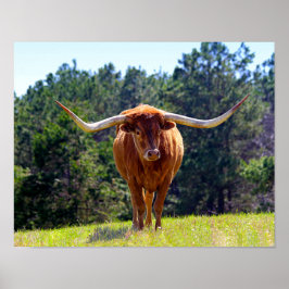 Póster Red Hired Texas Longhorn